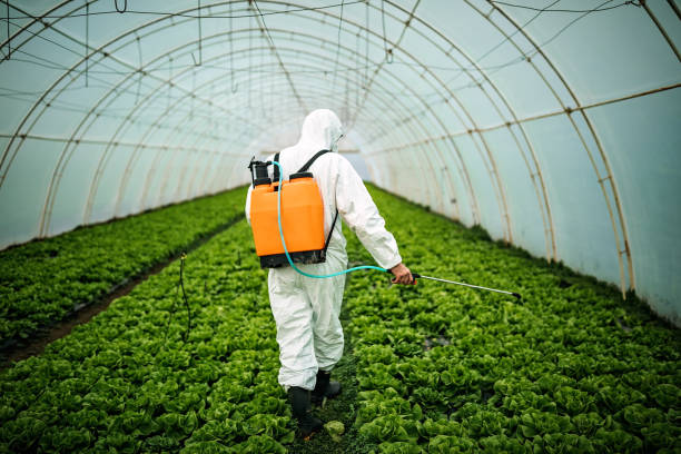 Best Pest Prevention Services  in Bartonville, TX