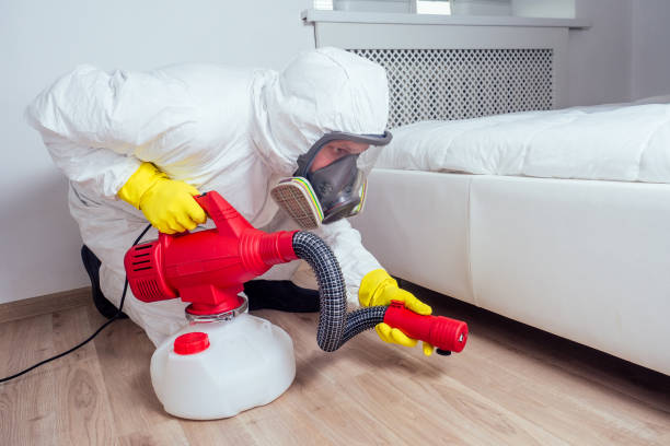 Wasp Removal Services in Bartonville, TX