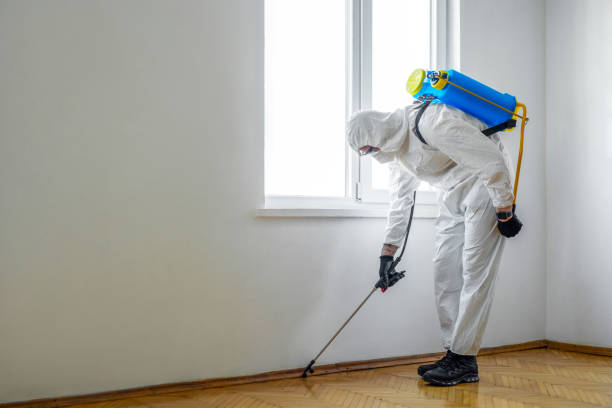Pest Control Cost in Bartonville, TX