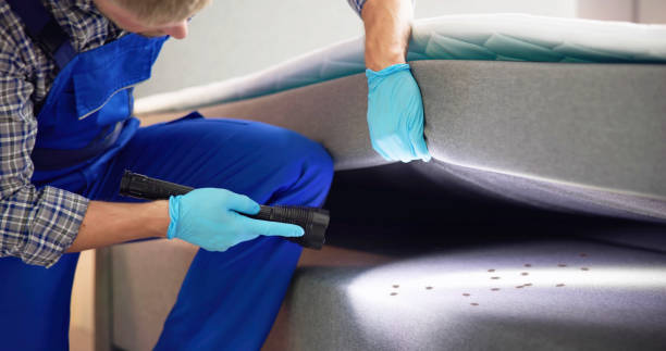 Best Pest Inspection Near Me  in Bartonville, TX