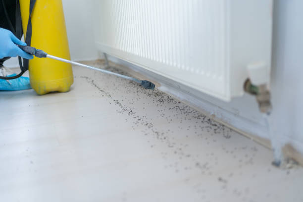  Bartonville, TX Pest Control Pros