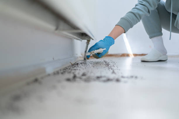 Best Flea Control Services  in Bartonville, TX